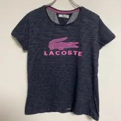 LACOSTE ラコステ 半袖Tシャツ ダークグレー ピンクロゴ XL