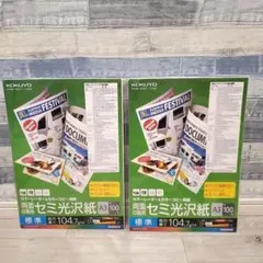 Item thumbnail for item 917b7632-07d3-4556-8a30-f94f5a2820d6