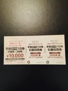 格安‼️売り切り‼️かぐら＆苗場リフト券1日券 ×2回分 ¥11000‼️ 苗場かぐらスキー場リフト券2回分