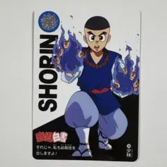 幽遊白書　幽⭐︎遊⭐︎白⭐︎書　カードダス　アニメ30周年記念　30 少林
