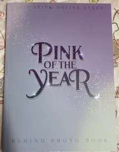 Apink pink of the year フォトブック