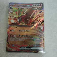ポケモンカードゲーム ウガツホムラex