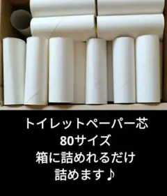 トイレットペーパー　トイレットペーパーの芯　芯　工作　自由研究　バラ売り可能です
