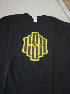 岩田翔吉選手　Champion HSHロゴ Tシャツ Lサイズ期間限定お値下げ