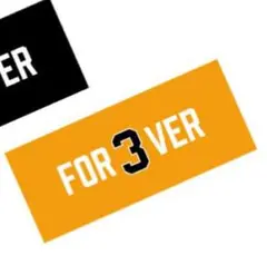 FOR3VER 巨人長嶋茂雄 FOREVER タオル　オレンジ1枚　ジャイアンツ