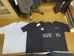 Item thumbnail for item 0f4c519d-fe0d-4fa9-b378-5f0a801b442e