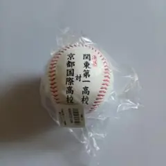 第106回全国高校野球選手権大会 決勝戦ボール