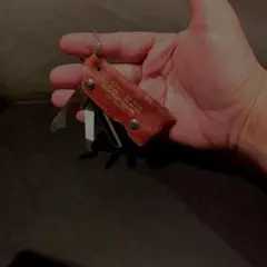 Item thumbnail for item 119da16e-b423-4cb8-9c55-3054baff451f