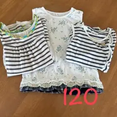 セラフ・ビケット・ユッピー120