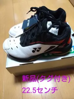 パワークッション65z