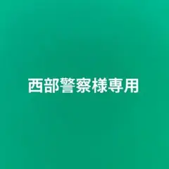 26弾 マンホールカード　軽井沢町A001 2枚セット