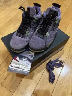 Air Jordan 4 キャニオンパープル