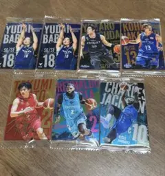 Bリーグ ツインウエハース 2024-25 7枚セット
