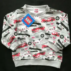 Item thumbnail for item d03b0579-a090-4c58-8f7d-3dce3af9c67c