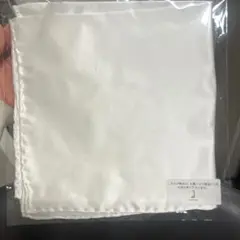 Item thumbnail for item 135b7f50-af36-482c-b3b7-60af45fdc42b