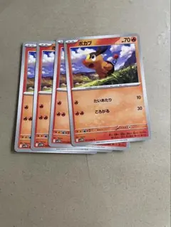 ポカブ　４枚