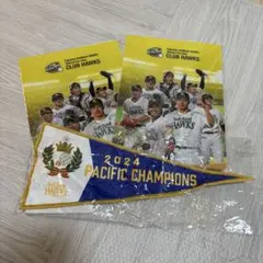 softbank HAWKS ソフトバンクホークス クリアファイル記念ペナント