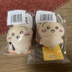 うさぎだらけくじセット売り