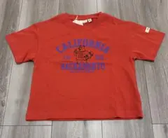 Tシャツ3枚セット