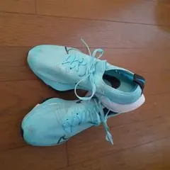 テンボネクストズーム　ミントグリーン25CM