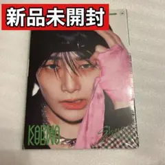新品未開封 Straykids KARMA Accordion アイエン ②