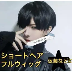 フルウィッグ メンズ 男装 コスプレ ショートウィッグ ブラック ネット付き