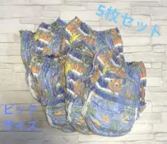 水遊びパンツ 6枚セット