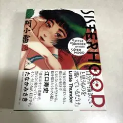 【美品】SISTERHOOD LITTLE THUNDER ART BOOK