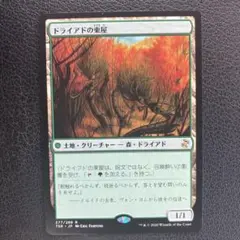 MTG ドライアドの東屋　日本語