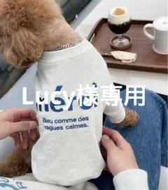 Item thumbnail for item 80982de6-4152-4412-a809-ce4cbaea8913