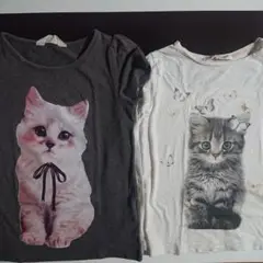 H&M 猫プリント 半袖 長袖 Tシャツ2枚セット