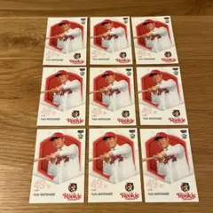 Item thumbnail for item c0e4359a-4900-4c9e-b64a-db9b6d6b0e5c