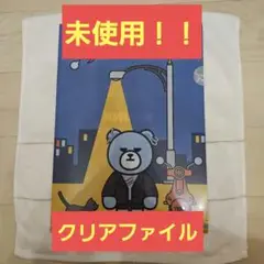 未使用 クリアファイル BIGBANG