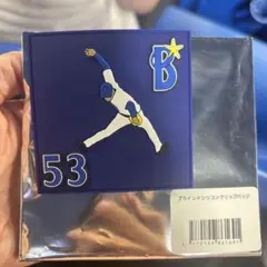 中川颯　ブラインドシリコンクリップバッジ