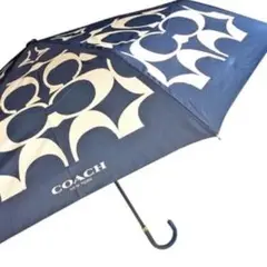 Item thumbnail for item 0db13055-80c1-461b-9565-2975ec858106