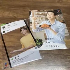 パク・ソジュン ビビゴ bibigo クリアカード+パンフレット
