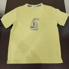クロコダイル　メンズ　Tシャツ　イエロー　L