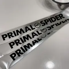 THERAMPAGE 銀テ セット