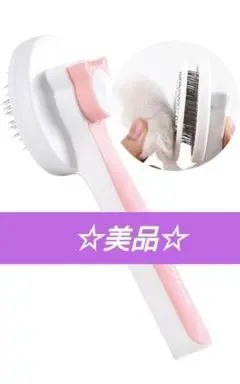 Item thumbnail for item b6412115-32c4-4014-903c-9bce67ce973e
