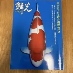 鱗光　2024年４月号