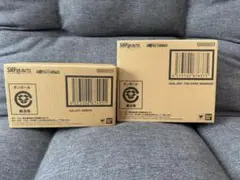 Item thumbnail for item 0d60e621-8cf6-428e-a7a5-e6b755661191
