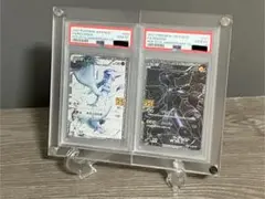 PSA連番用　ディスプレイケース　ポケモンカード