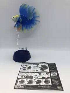 いきもの大図鑑　ベタ　イエロー＆ブルー