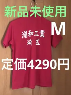 Item thumbnail for item d10a6300-0389-43ba-b3fa-4d570e4df9f0