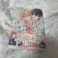 少女マンガなら叶わない恋 BL漫画 コミック 全巻