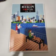 書き込みなし 英文法入門10題ドリル 駿台文庫シリーズ
