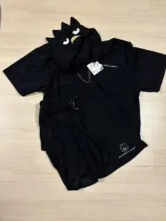 Item thumbnail for item 5ee5cb03-b8c5-40da-8712-89ca06487b26