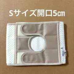 Item thumbnail for item b75cb098-8dc1-4264-a2c1-feafad2fb98c