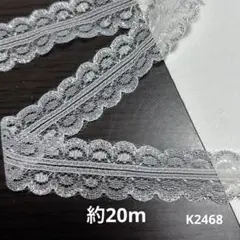 ラッセルレース約20m