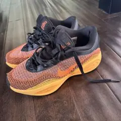 Item thumbnail for item 8f127d35-2282-45be-babb-097dbf06fcb8